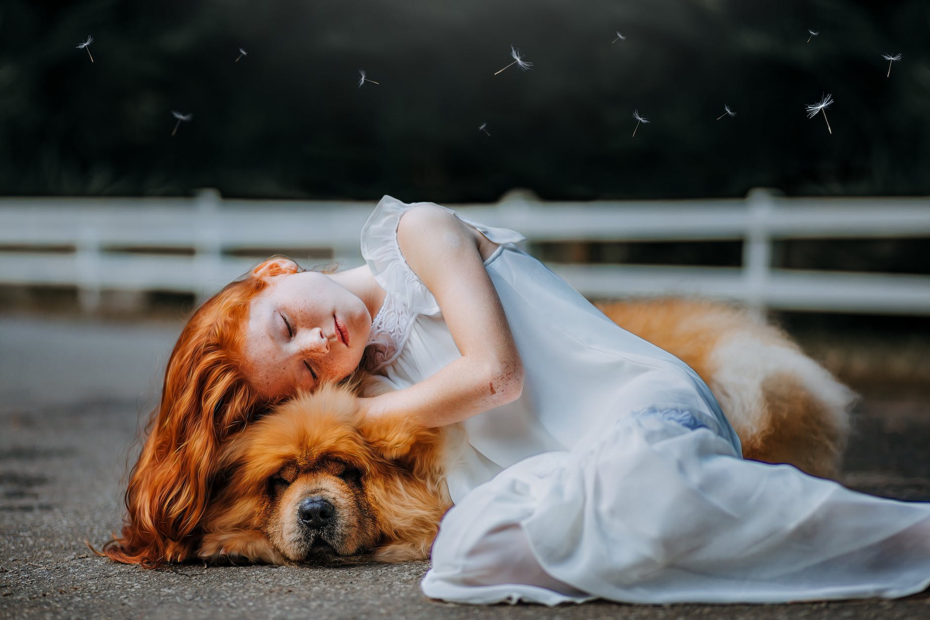 girl and dog sleeping on gray pavement

White Nursery Bookshelves