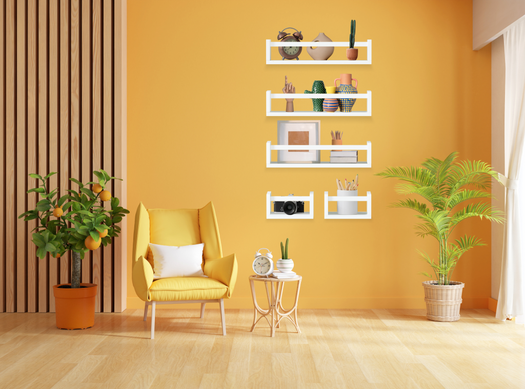 Wall Book Shelves